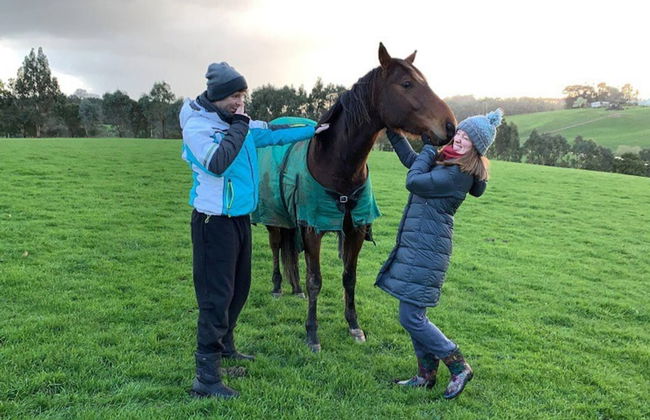 Jilly Park Farm Interactive Experience - Foto 5