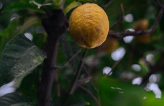 Trinity Suites "by Checkin" - Foto 30