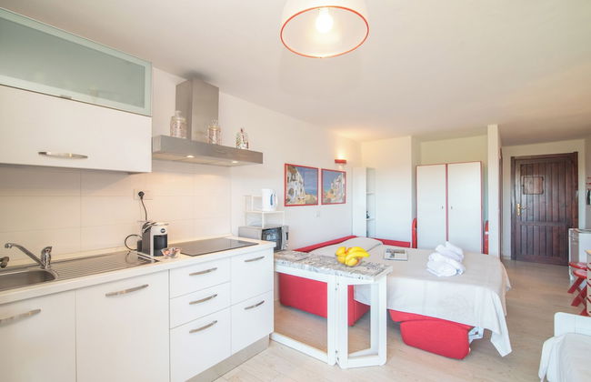 Mono Gambero Eucalyptus 241 - Foto 9