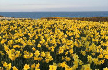 Moat View Donaghadee - Foto 24