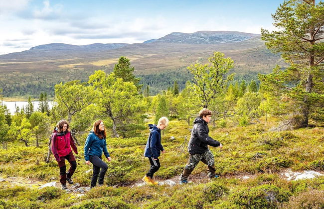 12 Person Holiday Home in Idre - Foto 16