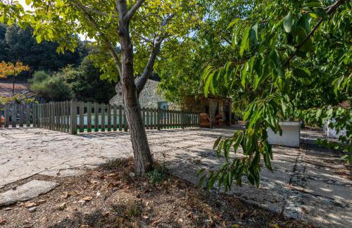 Casa Jurinea - Foto 46