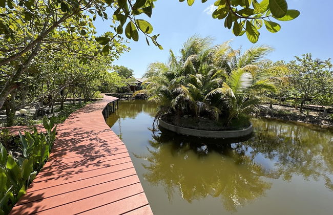 The Beatles Lagoon - Photo 69