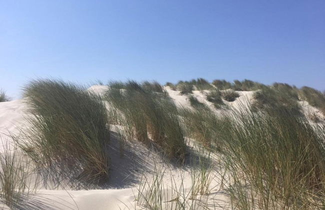 Bungalow in Nes on Ameland With Spacious Terrace - Foto 39