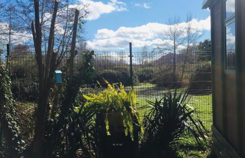 Beach house à Marina di Sorbo …Corse - Foto 13