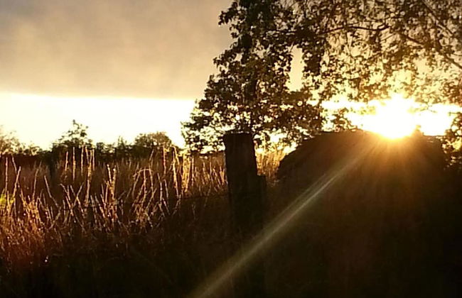 Cottage in Auvergne Near Cascade Gour - Foto 36