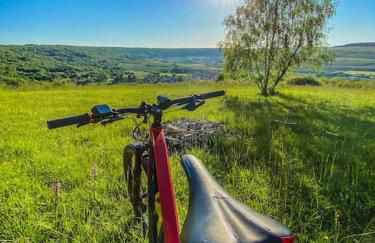 L'effervescence - Foto 15