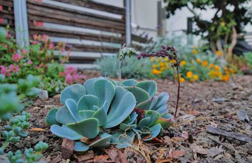 Oak Manor - Chic & Stylish 2BR Apartment Retreat - Photo 59