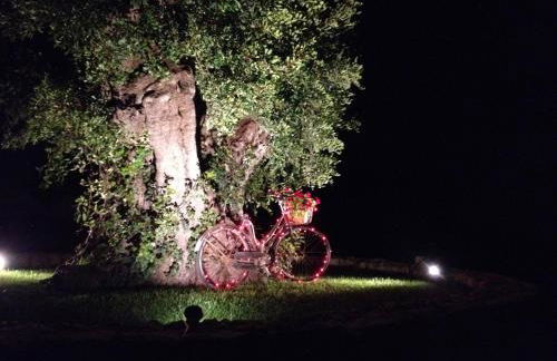 Villino Odaldo - Foto 26