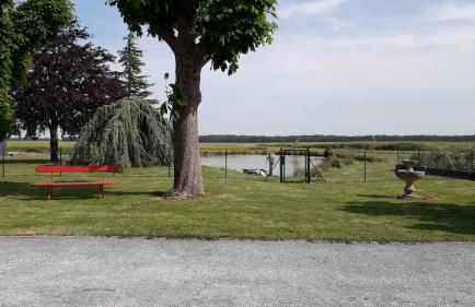 Gîte Les Guernazelles - Foto 19