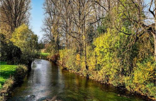 Ferienhaus in Amelgatzen mit Terrasse - Foto 66