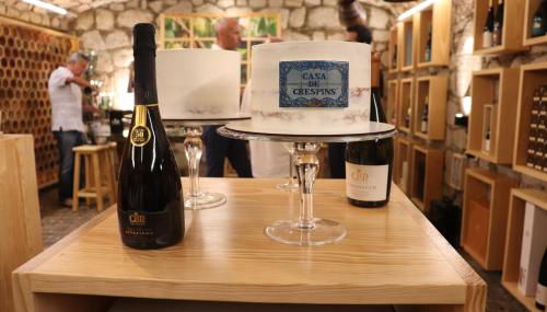 Casa De Crespins Casa de Campo Lda - Foto 4