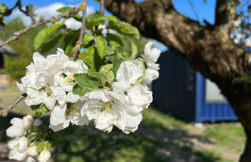 Arche Siedlisko Rogacze 72 - Foto 22