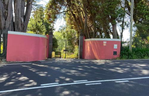 Quinta Das Faias - Foto 10