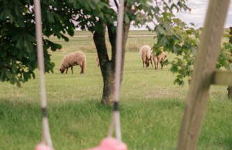 FEWO auf dem Lande / nahe SPO - Foto 73