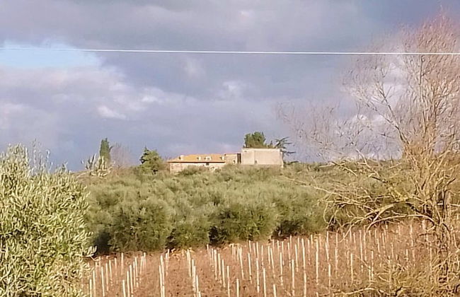 Borgo Cenaioli - Photo 44