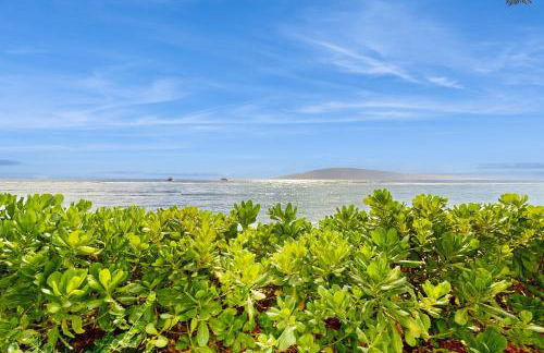 Lahaina Shores 202 - Foto 18