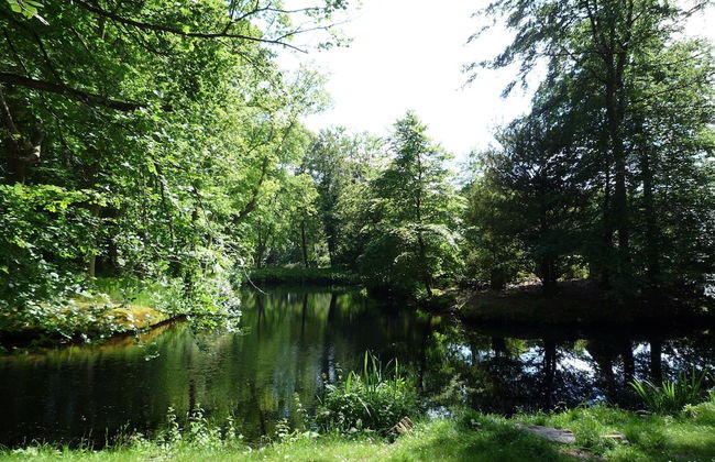 Apartment Bergen aan Zee Near Beach - Photo 34