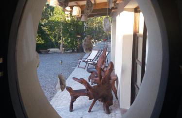 Villa Timothy - Foto 14
