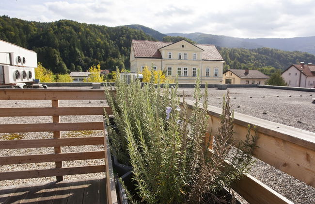 Family fun Pohorje - Foto 37