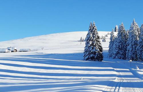Kopf Frei auf 1000 Meter Wohnung 1 - Foto 43
