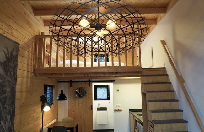 1 bedroom House in Beekbergen with swimming pool and garden - Photo 9