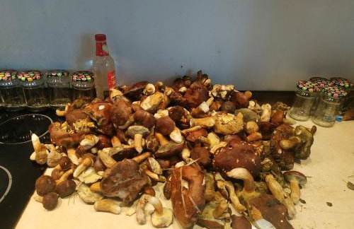 Linia brzegowa prywatny pomost własny kajak hamaki grill ognisko kominek w domu taras Domek dla 6 osób nad samą wodą BRZÓZKI 1 - Foto 20