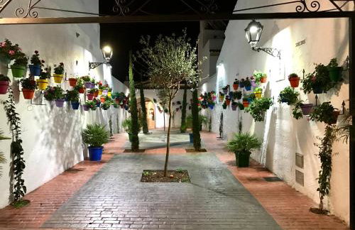 Casa San Miguel - Foto 47