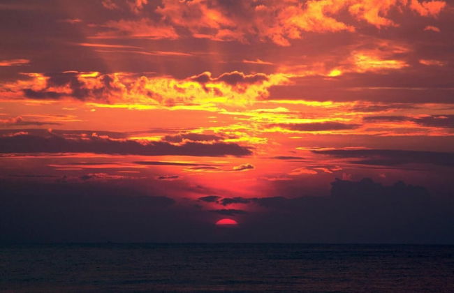 Eagle Stays Aruba - Foto 56