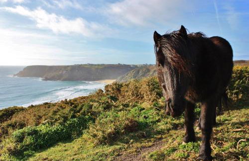 Cottage Sleeps 2- Parking Wood Fire Garden Pets - Foto 89