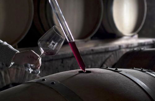 Fattoria di Cinciano - Foto 6