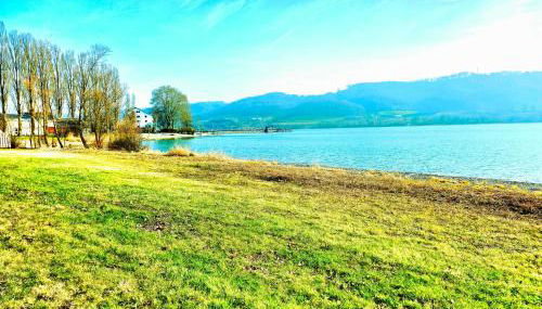 TROPICAL ISLAND 23C - Seesicht - Massage - BBQ - Billiard - Trambolin - Tischkicker - Penthouse - Parkplatz - Foto 3