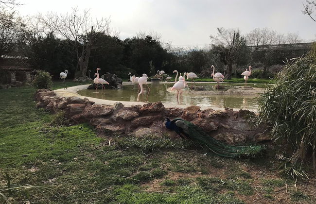 Veras Apartment - Foto 35