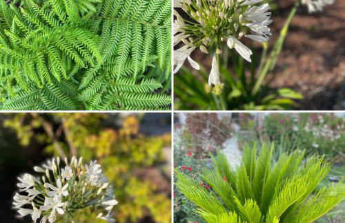 Ty Glazu Villa neuve grand confort, jardin 1600m2, GR34, criques, restos et port Doelan à pied - Foto 46