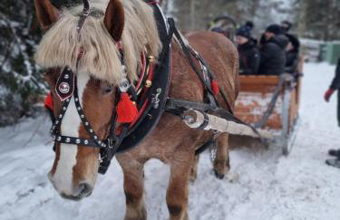 Maciejówka Borki 33 - Foto 48
