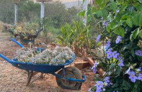 Chácara Recanto da Paz - Photo 56