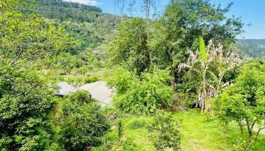 Cantinho aconchegante na Serra - Foto 5