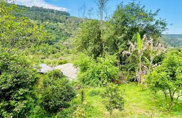 Cantinho aconchegante na Serra - Foto 5