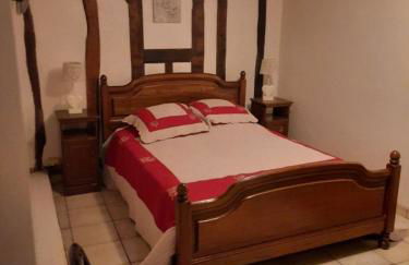 LES HIRONDELLES - Les gîtes du Der - - Foto 9