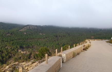 Suite La Fuente - Photo 35