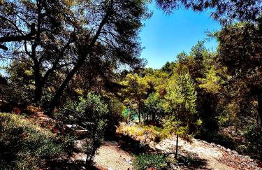 Pine Haven Retreat - Foto 23