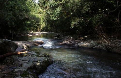 Cabanas dos Plátanos - Foto 60