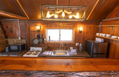 Lewis Cabin - Boat Dock - Lake Front - Sleeps 12 - Photo 33