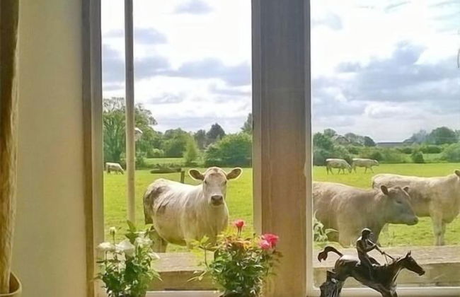 Battens Farm Cottages - B&B and Self-catering Accommodation - Foto 1