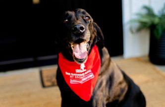 Luxury Barndo with Hot Tub, Indoor Sports Court, Private Acreage, and Near Notre Dame - Foto 47