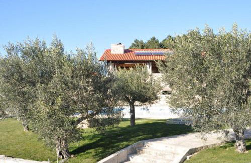 Quinta do Olival - Foto 129