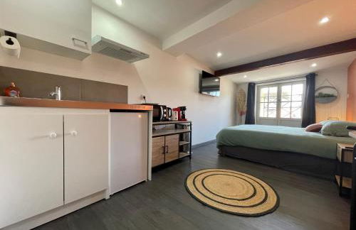 Rooftop N°38 - Rooms et Studios - Vue Cité Médiévale - Foto 19