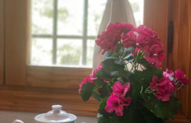 Villa Sanz - Foto 58