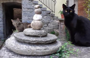 Tana del Paradiso - Foto 13