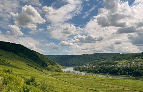 Wohnen am Weingut - Bei den Weinbergen - Foto 15